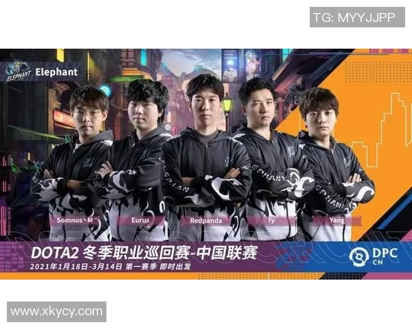 rotk比赛数据-Rotk比赛数据分析报告-rotk比赛数据